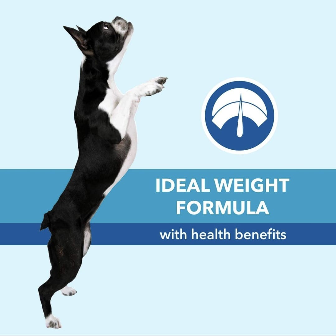 Puepet Chicken & Vegetable Adult Dog Dry Food