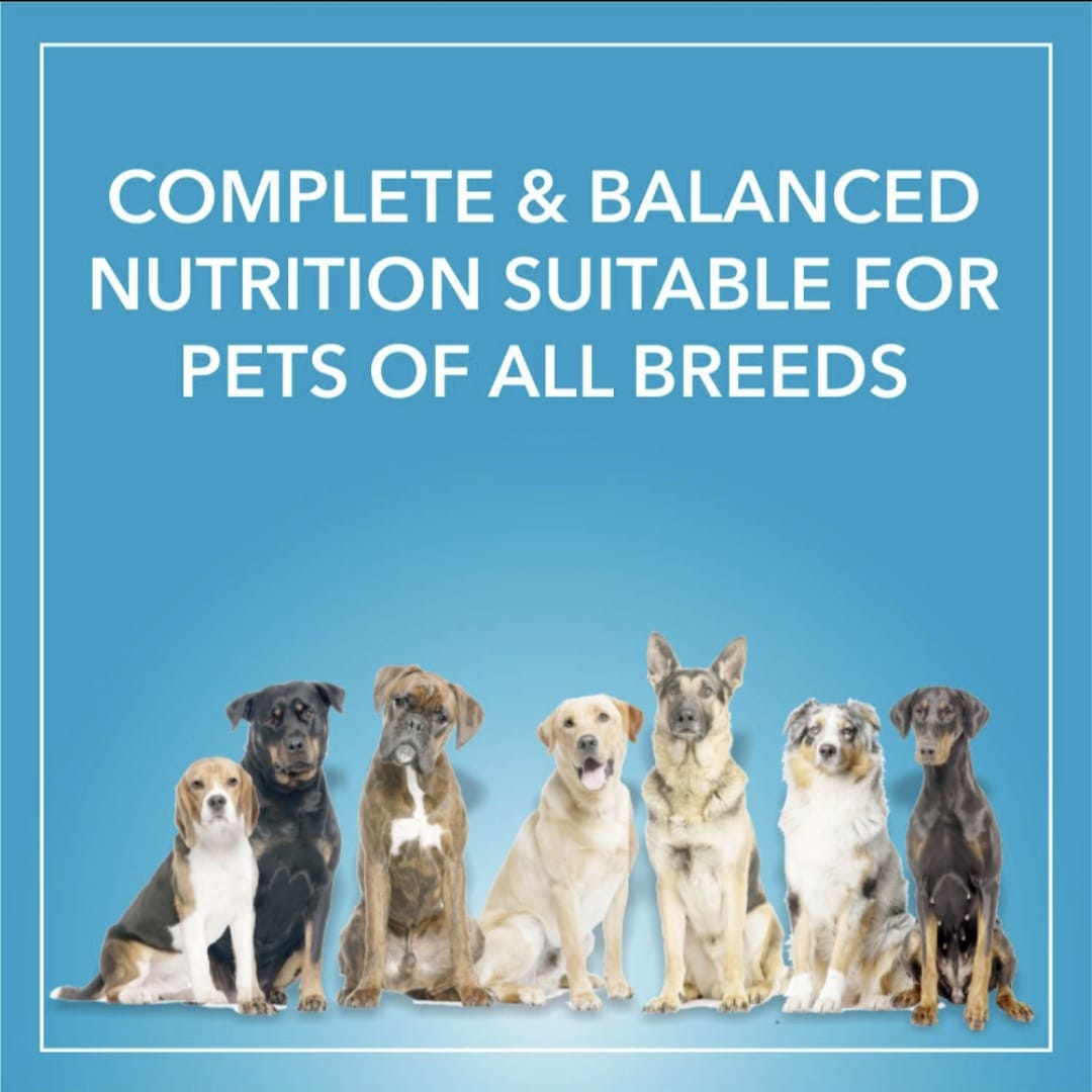 Purepet Chicken & Vegetable Puppy Dry Food