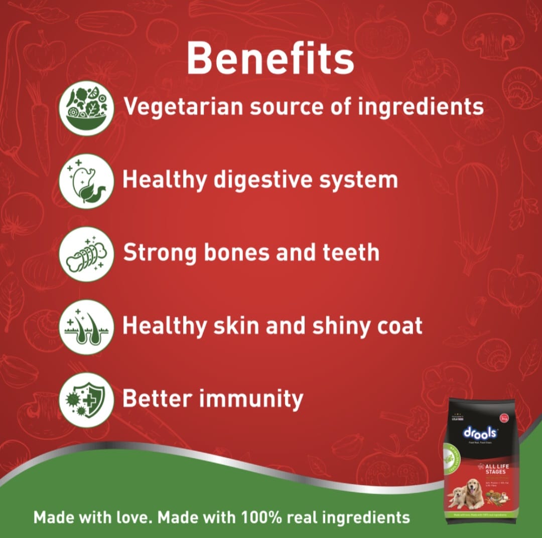 Drools 100% Vegetarian Puppy and Adult Dog Veg Dry Food (All Life Stages)