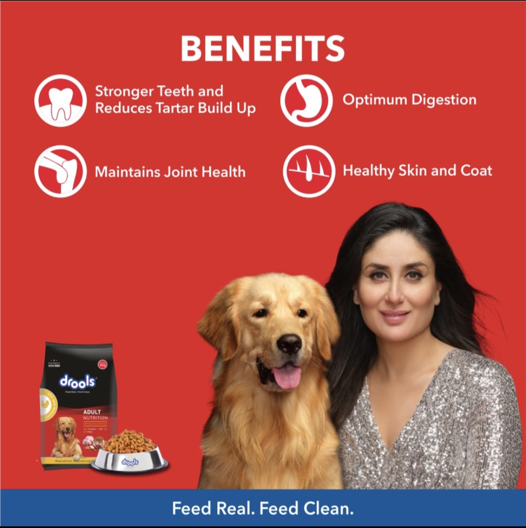 Drools Chicken and Egg Adult Dog Dry Food