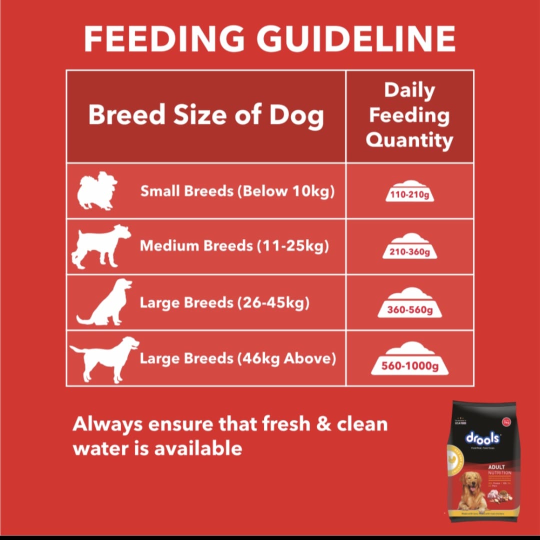 Drools Chicken and Egg Adult Dog Dry Food