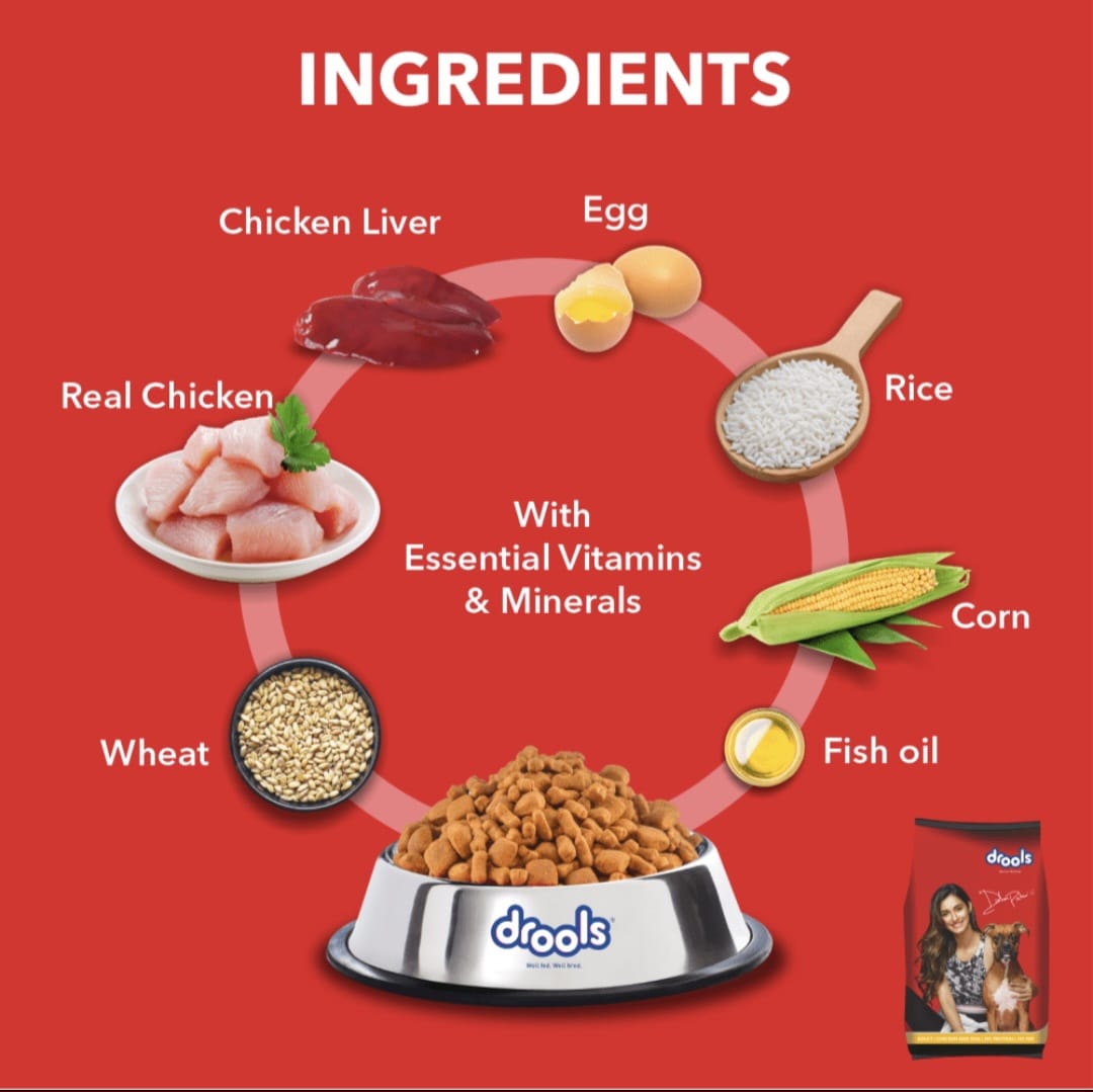 Drools Chicken and Egg Puppy Dog Dry Food