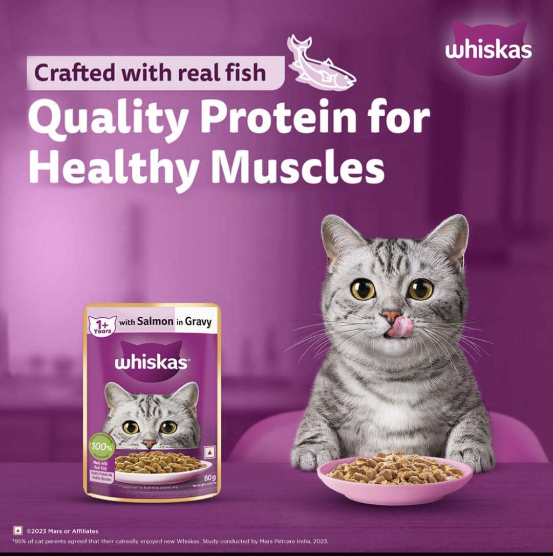 Whiskas Salmon in Gravy for Adult Cat (1+ Years)