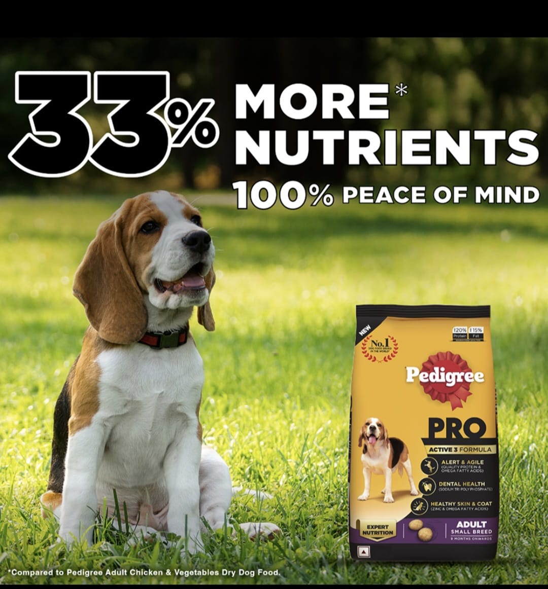 Pedigree Pro Adult Small Breed Dog Dry Food