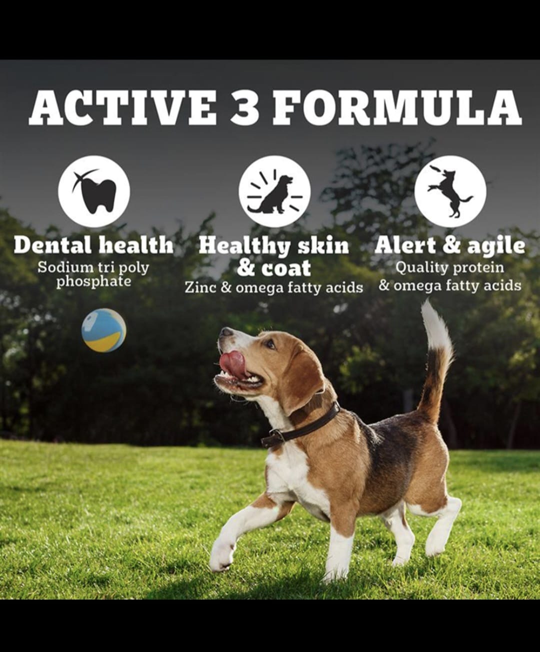 Pedigree Pro Adult Small Breed Dog Dry Food