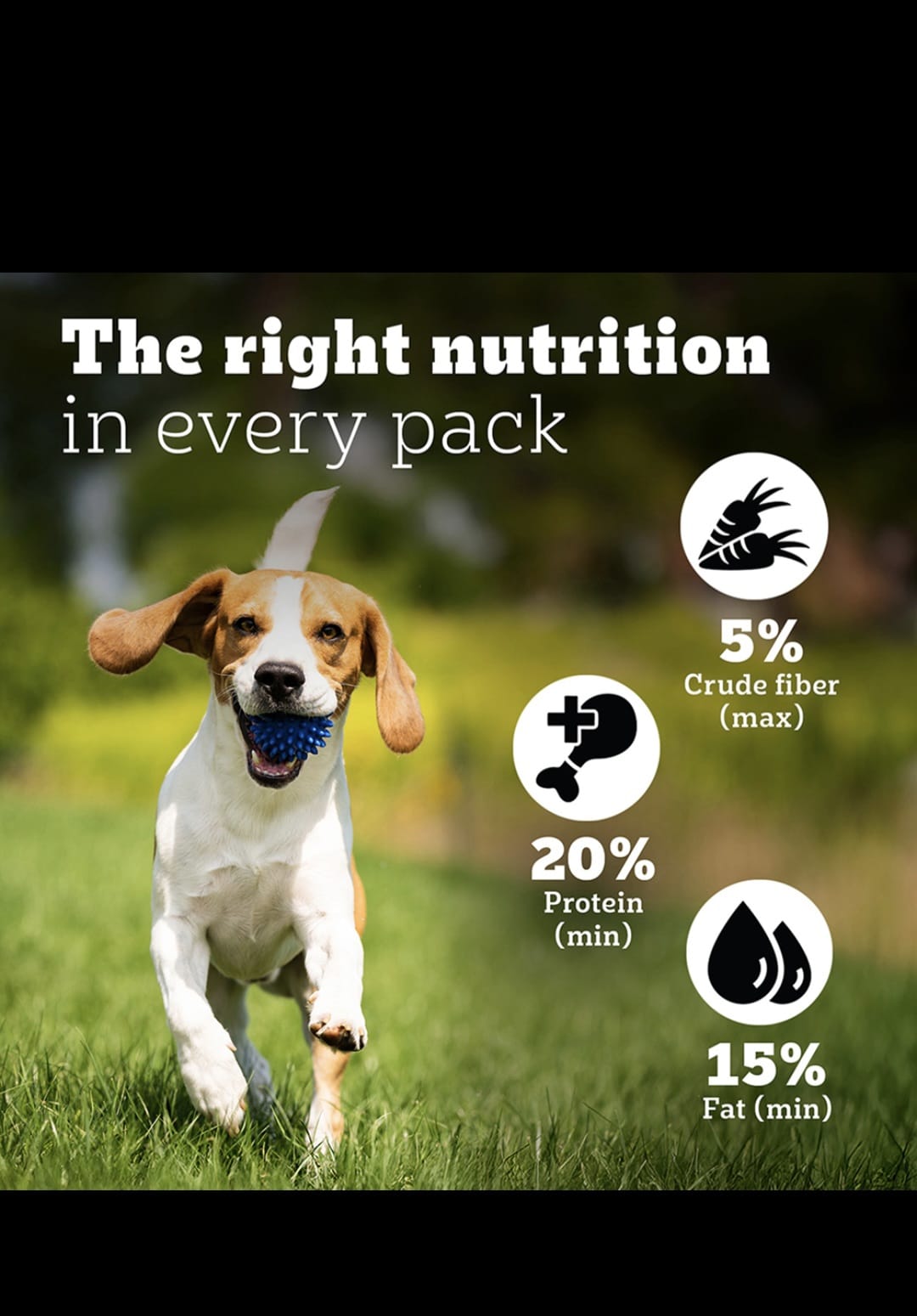 Pedigree Pro Adult Small Breed Dog Dry Food