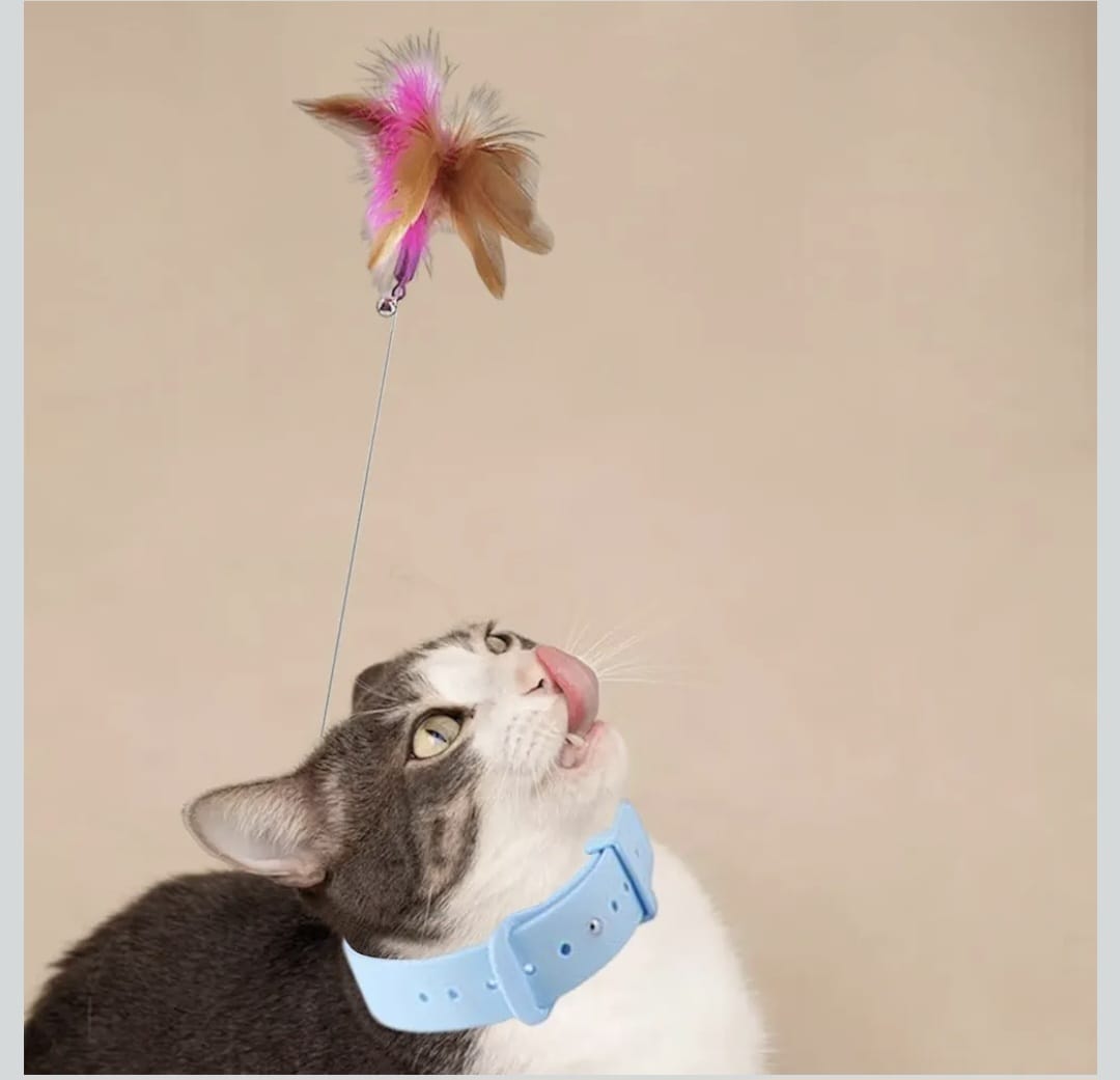 2pcs Cat Collar Toy, Silicone Cat Teasing Wand Adjustable Cat Feather Collar Toys with Bell Cat Interactive Teaser Toys for Indoor Cat Playing Training (Pink, Blue)