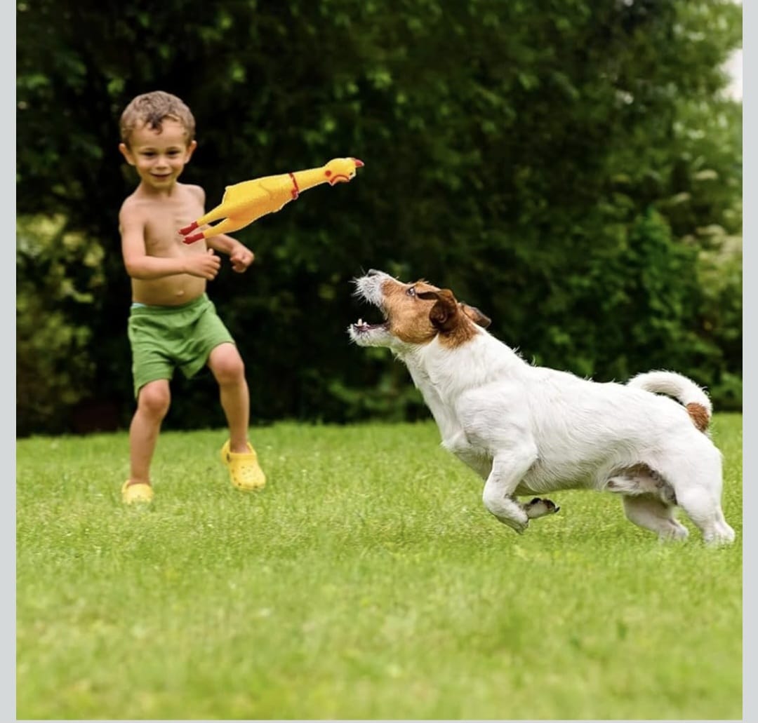 Non-Toxic Screaming Chicken Squeaky Toys for Puppy Dogs & cat lerge