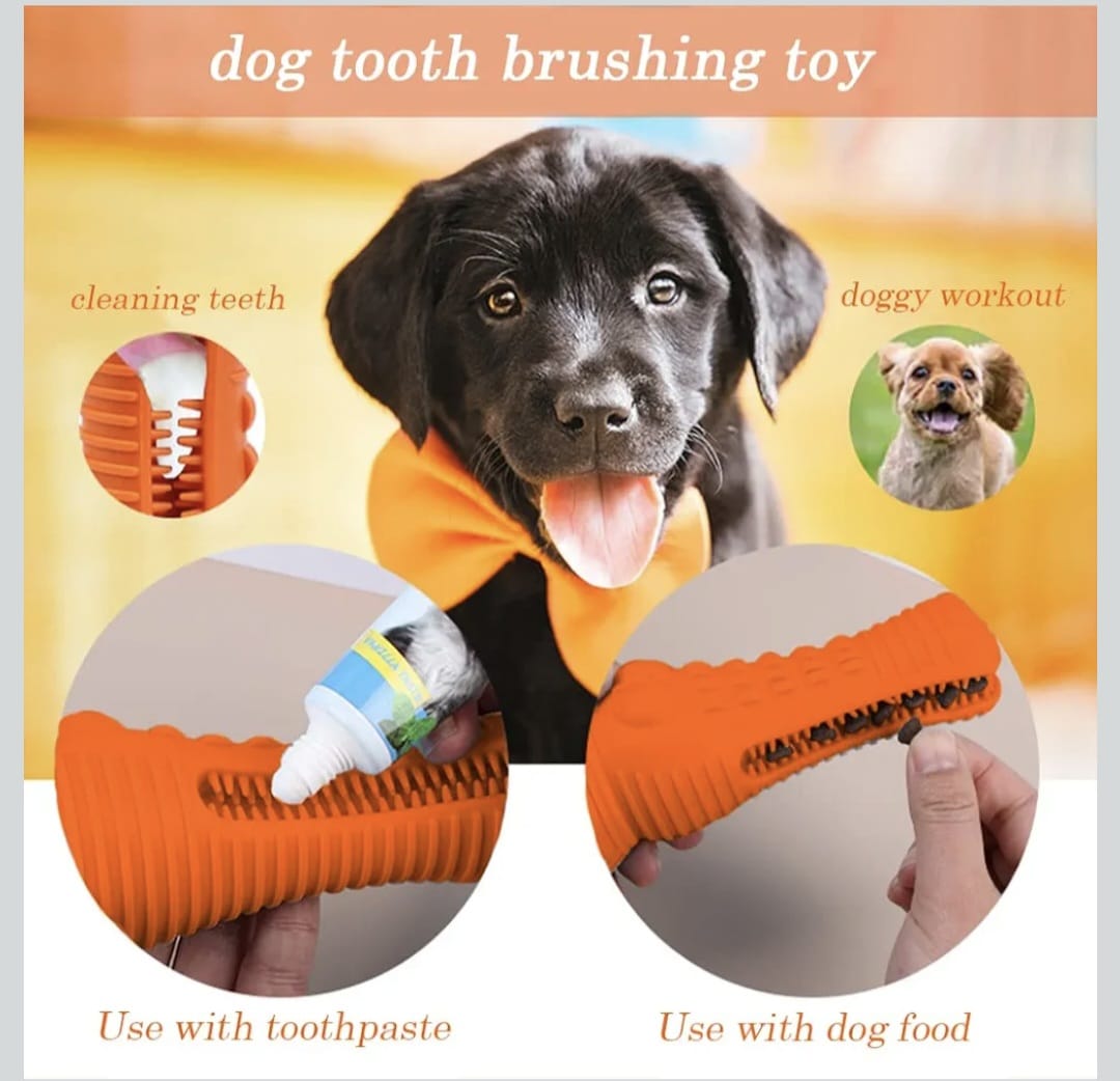 Natural Rubber Dog Chew Toy - (Crocodile Toy) for Puppies & Small Dogs | Interactive Training, Dental Cleaning, and Fun Chew Toy