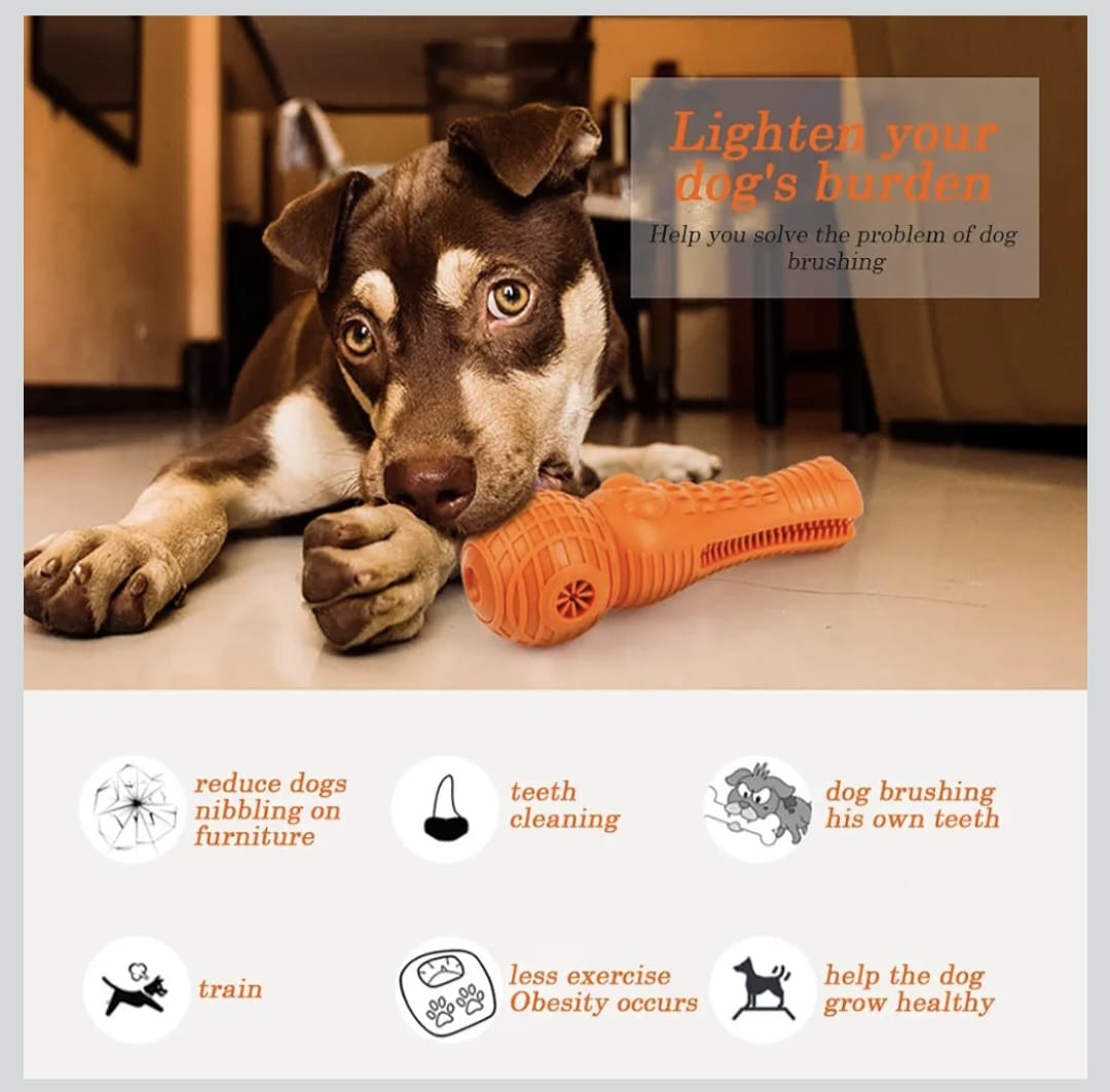 Natural Rubber Dog Chew Toy - (Crocodile Toy) for Puppies & Small Dogs | Interactive Training, Dental Cleaning, and Fun Chew Toy