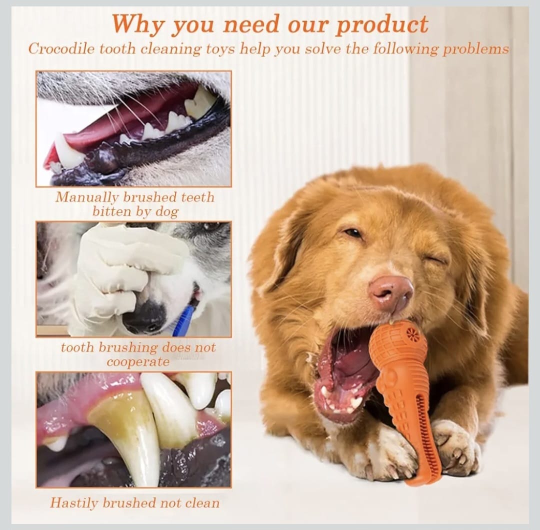 Natural Rubber Dog Chew Toy - (Crocodile Toy) for Puppies & Small Dogs | Interactive Training, Dental Cleaning, and Fun Chew Toy