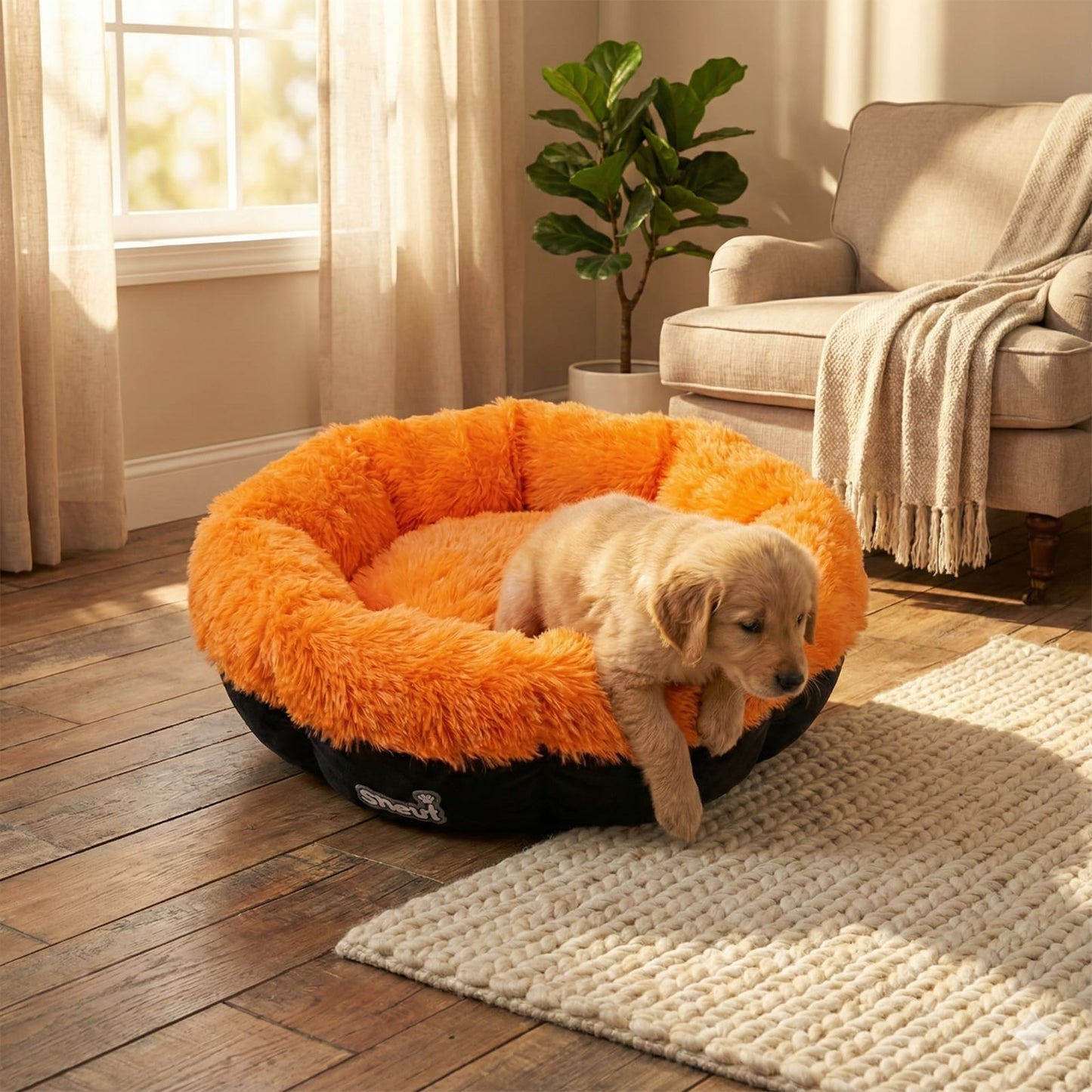 Cat and Dog Bed, Cozy and Comfortable, perfect for your Furry Friend (orange and black)