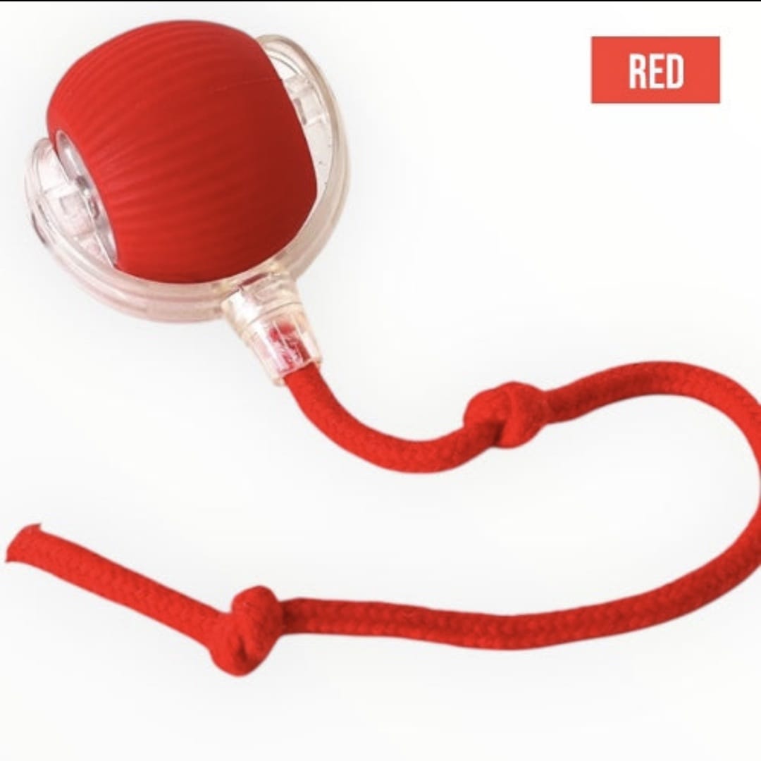 Interactive Cat Ball Toy, New Automatic Premium Smart Self Rolling Silicon, plastic Ball for Dog & Cat