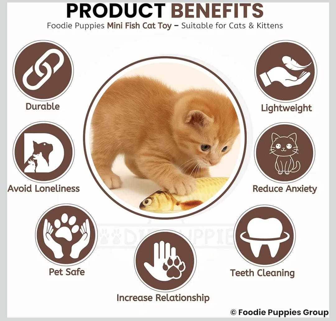 Electric Flopping Fish, Moving Cat Kicker Fish Toy, Floppy Fish Toy for Small Dogs Wiggle Fish Catnip Toys, Motion Kitten Toy Plush Interactive Cat Toys for Exercise, Mice Animal Toys,Chargeable